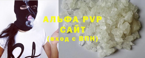 гашик Арсеньев