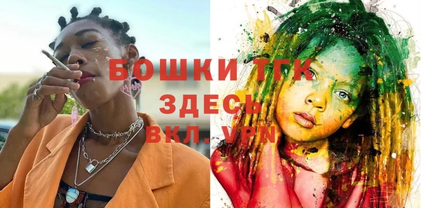 гашик Арсеньев