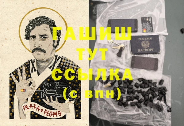гашик Арсеньев