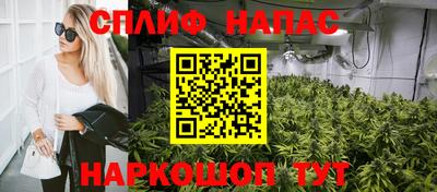 ГАЛЛЮЦИНОГЕННЫЕ ГРИБЫ Волжский