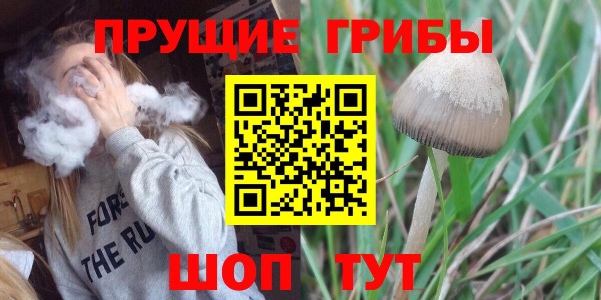 Галлюциногенные грибы ЛСД Коряжма