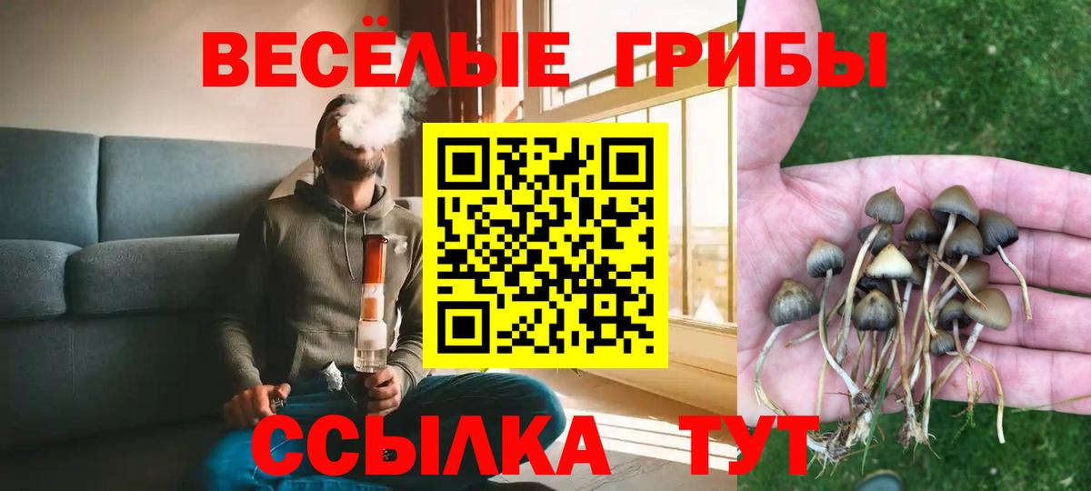 Галлюциногенные грибы прущие грибы  Вход с VPN  Коряжма 